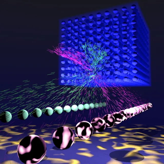 Transfer learning from Hermitian to non-Hermitian quantum many-body physics